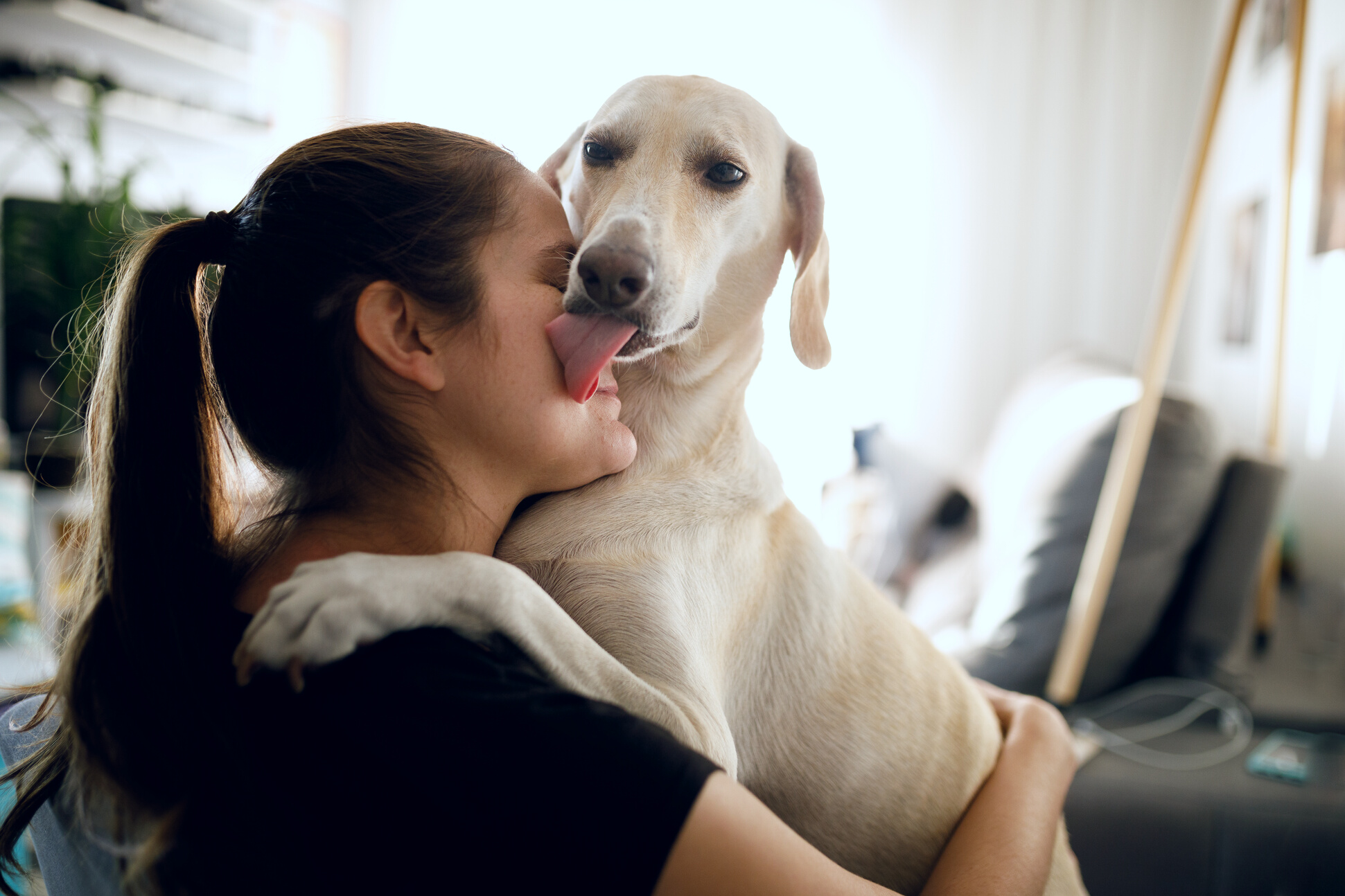 Dog hugging and licking woman